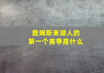 詹姆斯来湖人的第一个赛季是什么