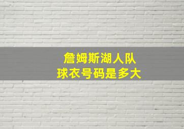 詹姆斯湖人队球衣号码是多大