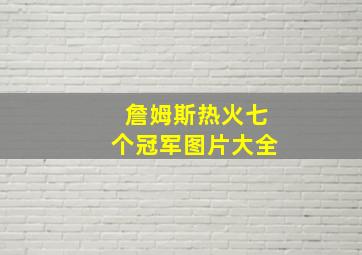 詹姆斯热火七个冠军图片大全