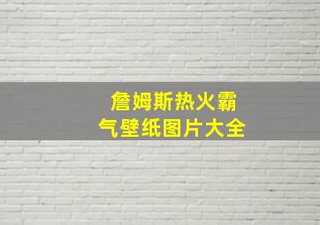 詹姆斯热火霸气壁纸图片大全