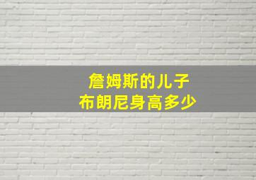 詹姆斯的儿子布朗尼身高多少