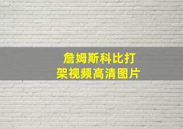 詹姆斯科比打架视频高清图片