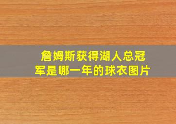 詹姆斯获得湖人总冠军是哪一年的球衣图片