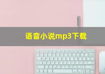 语音小说mp3下载