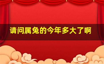 请问属兔的今年多大了啊