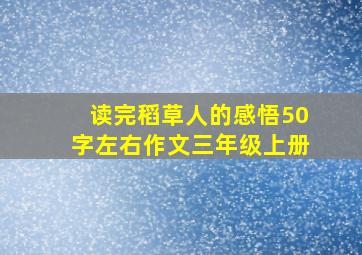 读完稻草人的感悟50字左右作文三年级上册