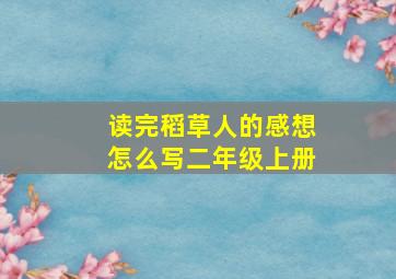 读完稻草人的感想怎么写二年级上册