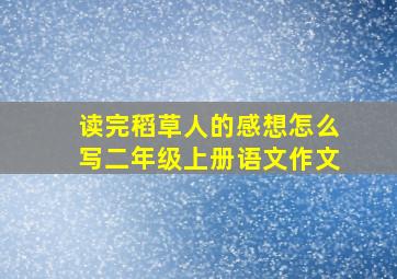 读完稻草人的感想怎么写二年级上册语文作文