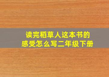 读完稻草人这本书的感受怎么写二年级下册