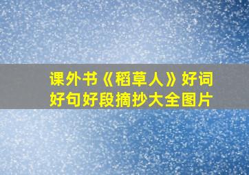 课外书《稻草人》好词好句好段摘抄大全图片