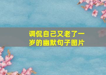 调侃自己又老了一岁的幽默句子图片