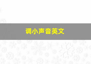 调小声音英文