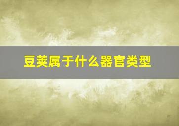 豆荚属于什么器官类型