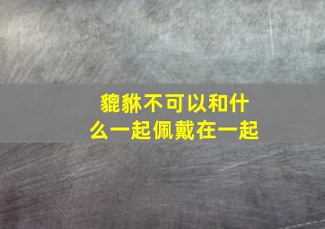 貔貅不可以和什么一起佩戴在一起