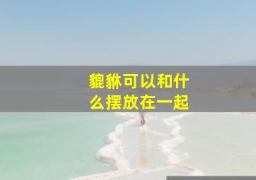 貔貅可以和什么摆放在一起