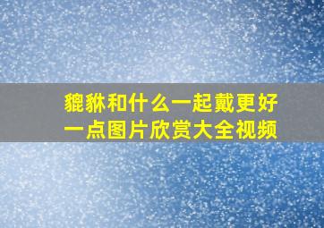 貔貅和什么一起戴更好一点图片欣赏大全视频