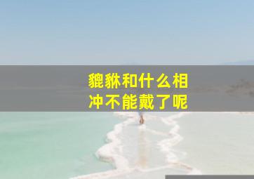 貔貅和什么相冲不能戴了呢