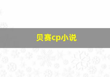 贝赛cp小说