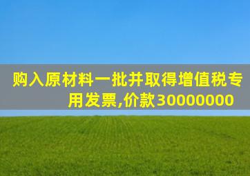 购入原材料一批并取得增值税专用发票,价款30000000