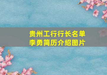 贵州工行行长名单李勇简历介绍图片