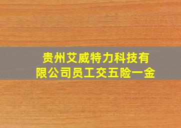 贵州艾威特力科技有限公司员工交五险一金