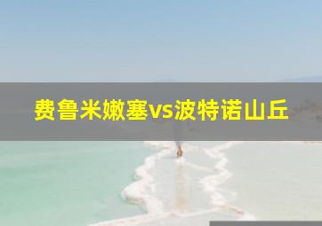 费鲁米嫩塞vs波特诺山丘