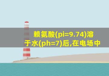 赖氨酸(pi=9.74)溶于水(ph=7)后,在电场中