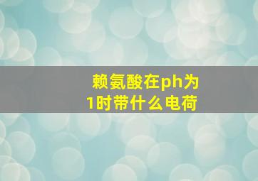 赖氨酸在ph为1时带什么电荷