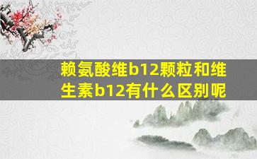 赖氨酸维b12颗粒和维生素b12有什么区别呢