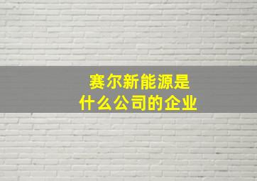 赛尔新能源是什么公司的企业