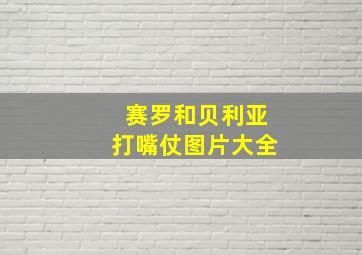 赛罗和贝利亚打嘴仗图片大全