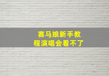 赛马娘新手教程演唱会看不了