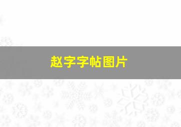 赵字字帖图片