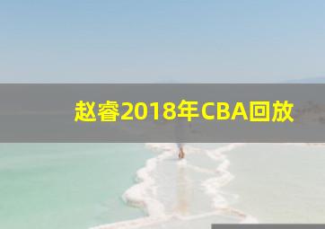 赵睿2018年CBA回放