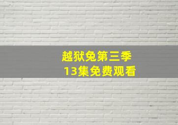 越狱兔第三季13集免费观看