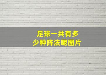 足球一共有多少种阵法呢图片