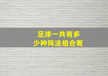 足球一共有多少种阵法组合呢