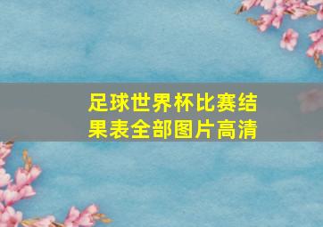 足球世界杯比赛结果表全部图片高清