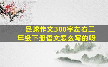 足球作文300字左右三年级下册语文怎么写的呀