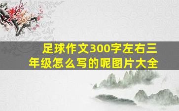 足球作文300字左右三年级怎么写的呢图片大全