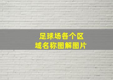 足球场各个区域名称图解图片