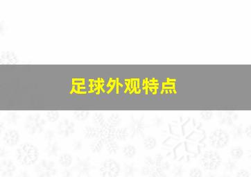 足球外观特点