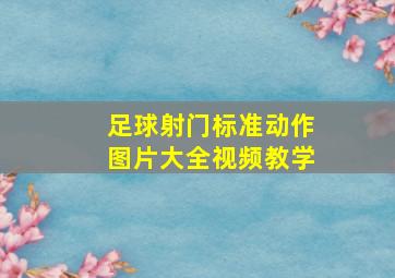 足球射门标准动作图片大全视频教学