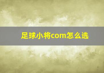 足球小将com怎么选