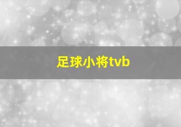 足球小将tvb