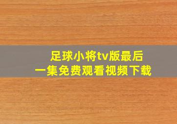 足球小将tv版最后一集免费观看视频下载