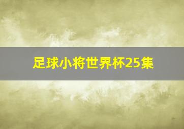 足球小将世界杯25集