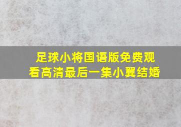 足球小将国语版免费观看高清最后一集小翼结婚