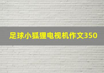 足球小狐狸电视机作文350