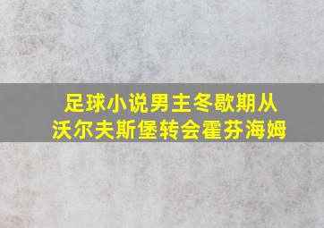 足球小说男主冬歇期从沃尔夫斯堡转会霍芬海姆